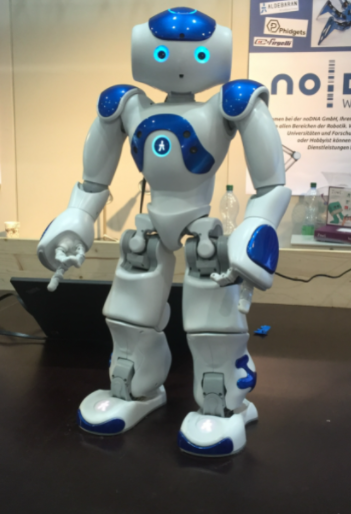 linha2d robot nao